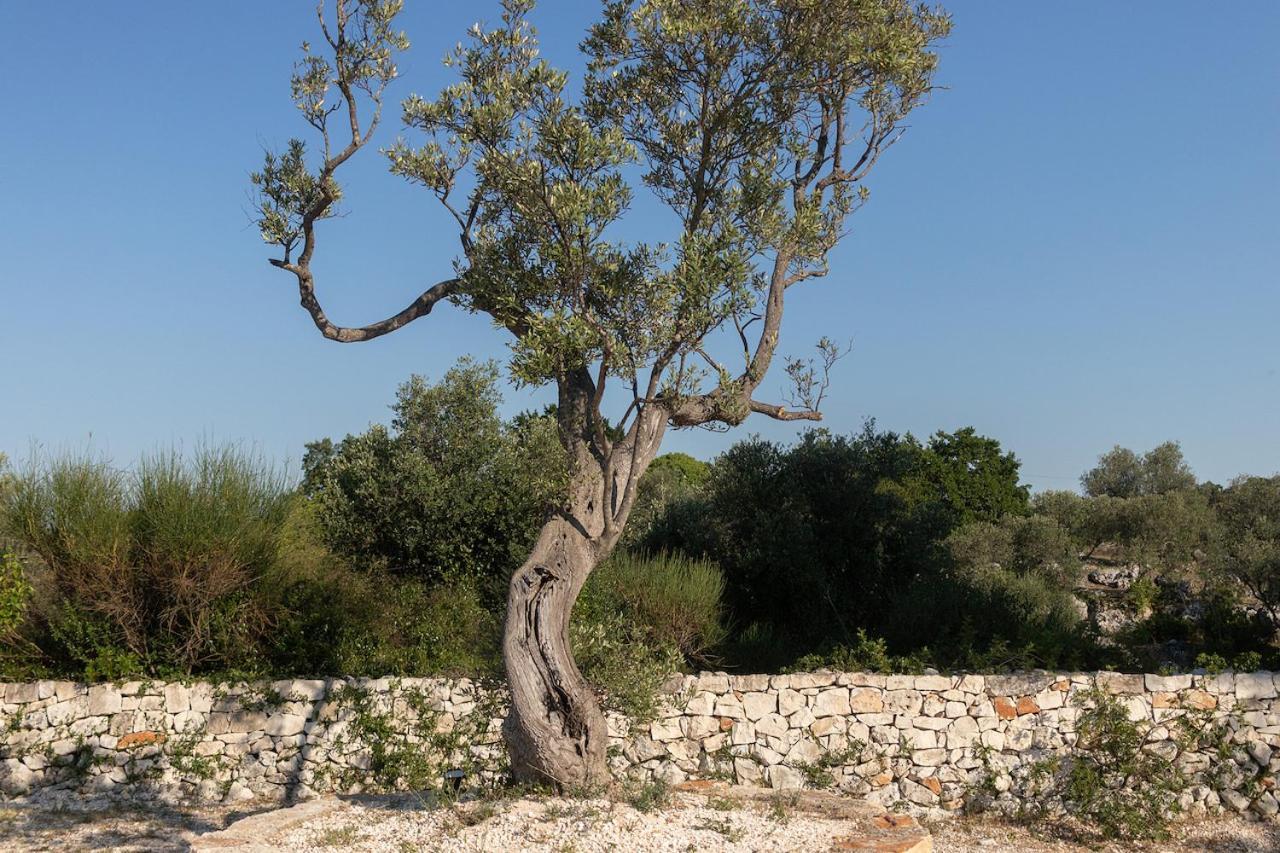 Trullo Carsico By Itriahomes Ceglie Messapica Buitenkant foto